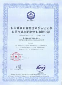 職業(yè)健康安全管理體系認(rèn)證證書