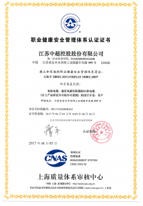 職業(yè)健康安全管理體系認(rèn)證證書