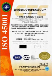 職業(yè)健康安全管理體系認(rèn)證證書